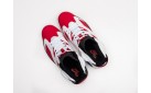 Кроссовки Nike Air Jordan 6 цвет: Красный