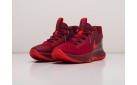 Кроссовки Nike Lebron Witness V цвет: Красный