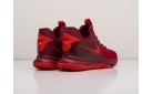 Кроссовки Nike Lebron Witness V цвет: Красный