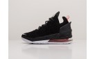 Кроссовки Nike Lebron XVIII цвет: Черный