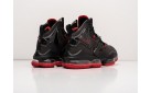 Кроссовки Nike Lebron XIX цвет: Черный