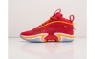 Кроссовки Nike Air Jordan XXXVI цвет: Красный
