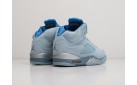 Кроссовки Nike Air Jordan 5 цвет: Голубой