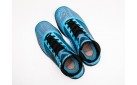 Кроссовки Nike Lebron 7 цвет: Голубой