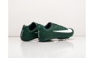 Шиповки Nike Zoom Rival S9 цвет: Зеленый