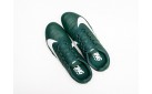 Шиповки Nike Zoom Rival S9 цвет: Зеленый