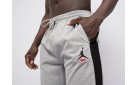 Брюки спортивные Nike Air Jordan цвет: Серый