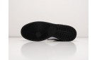 Зимние Кроссовки Nike SB Dunk Low цвет: Черный
