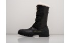 Зимние Ботинки Dior D Venture Leather цвет: Черный