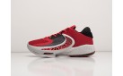 Кроссовки Nike Zoom Freak 4 цвет: Красный