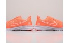 Кроссовки Nike Pegasus цвет: Оранжевый