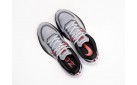 Кроссовки Nike Zoom Winflo 9 цвет: Серый