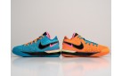 Кроссовки Nike LeBron NXXT Gen цвет: Разноцветный