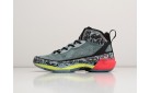Кроссовки Nike Air Jordan XXXVII цвет: Серый