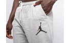 Брюки спортивные Jordan цвет: Серый