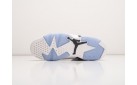 Кроссовки Nike Air Jordan 6 цвет: Серый