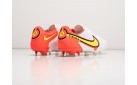 Футбольная обувь Nike Tiempo Legend IX Elite FG цвет: Разноцветный