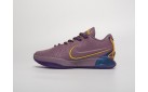 Кроссовки Nike Lebron XXI цвет: Фиолетовый