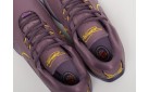 Кроссовки Nike Lebron XXI цвет: Фиолетовый