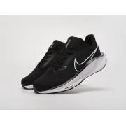 Кроссовки Nike Air Zoom Pegasus 41