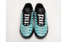 Кроссовки Nike Air Max Plus TN цвет: Голубой