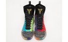 Кроссовки Nike Kobe 10 Elite High цвет: Разноцветный